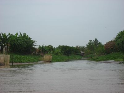 Picture_760.jpg