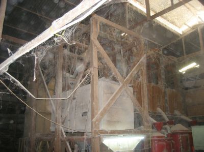 Picture_783.jpg