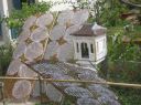 Picture_755.jpg