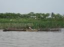 Picture_759.jpg