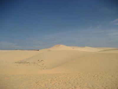 Picture_712.jpg