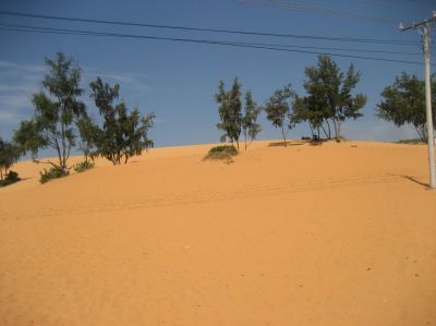 Picture_738.jpg