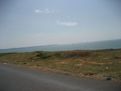 Picture_739.jpg