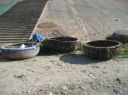 Picture_703.jpg