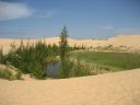 Picture_710.jpg