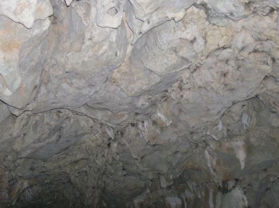P1010223.JPG