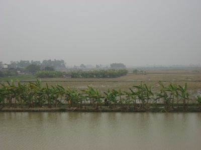 Picture_534.jpg