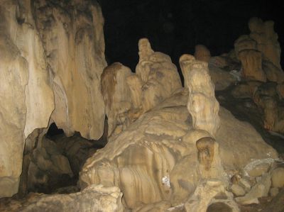 Picture_568.jpg