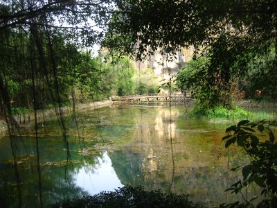 Picture_626.jpg