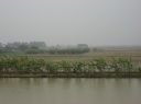 Picture_534.jpg