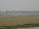 Picture_535.jpg