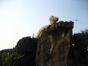 Picture_637.jpg